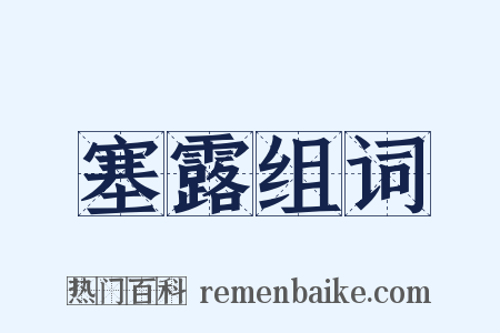 塞露组词是什么意思的图片